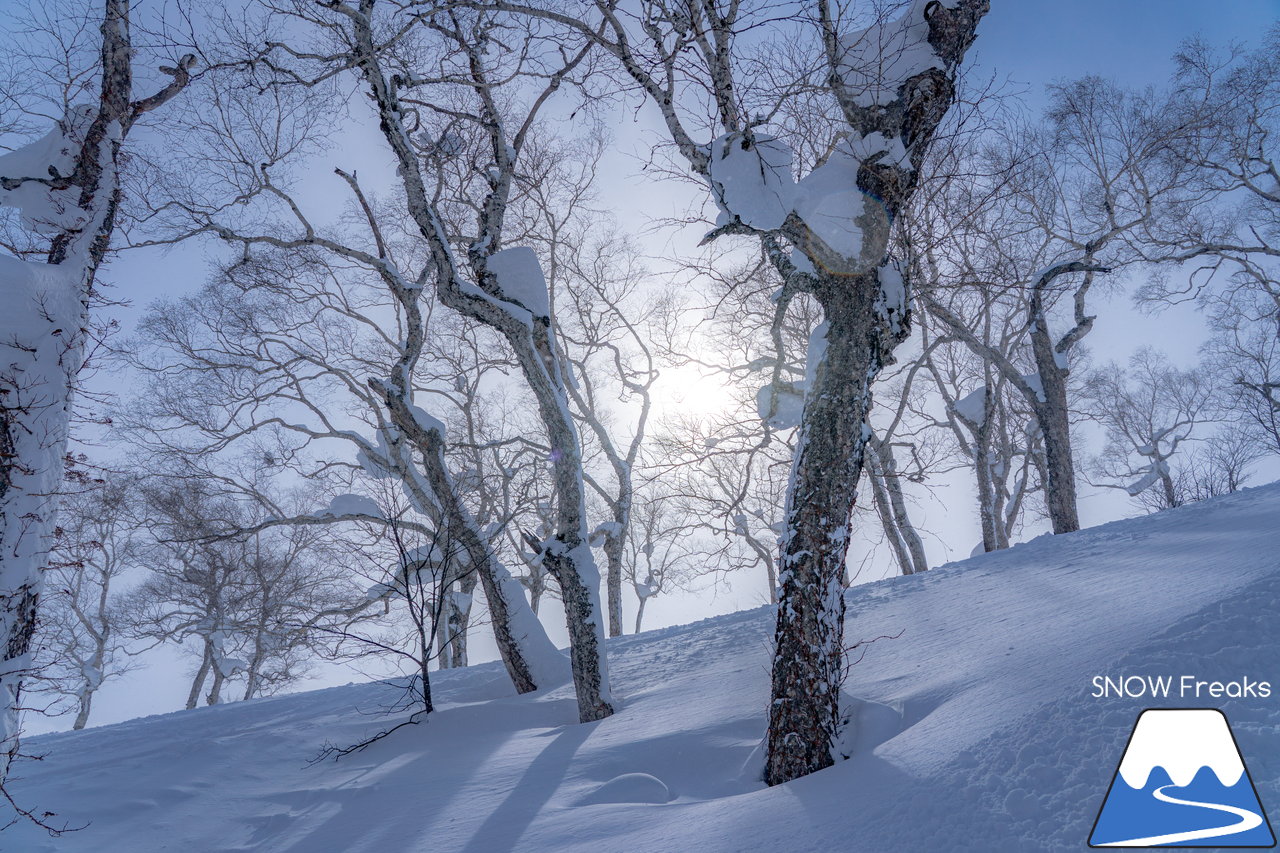 ニセコ東急グラン・ヒラフ｜積雪400cm！ニセコの『PowderSnow』を味わい尽くす、贅沢な時間♪